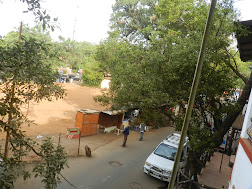 DSCN1156