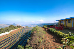 IMG-20200227-WA0002