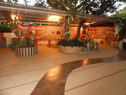 Z1 Restaurant open sit-out 1