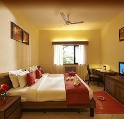 room 1_0
